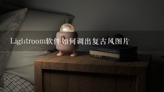 Lightroom软件如何调出复古风图片