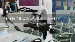 小辣椒手机放歌突然死机了怎么回事