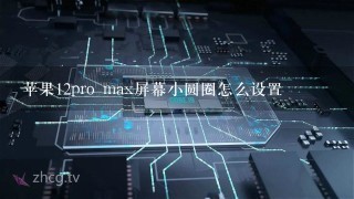 苹果12pro max屏幕小圆圈怎么设置