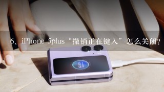 iPhone 5plus“撤销正在键入”怎么关闭？