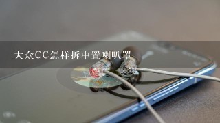 大众CC怎样拆中置喇叭罩