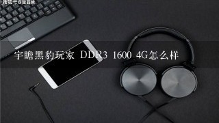 宇瞻黑豹玩家 DDR3 1600 4G怎么样