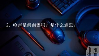 呛声是闽南语吗？是什么意思？