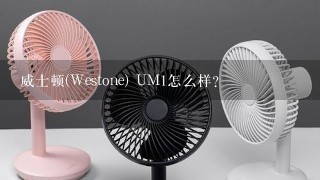 威士顿(Westone) UM1怎么样?