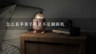 怎么看苹果手机是不是翻新机