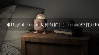 求Digital Fusion大神帮忙！！Fusion中打开Bins显示Library on localhost[access denied]