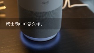 威士顿um1怎么样。