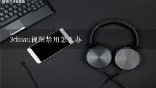 3dmax视图禁用怎么办