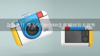 急急急!! 华为G520-5000怎样刷回官方固件