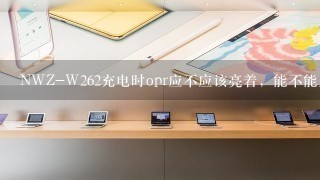 NWZ-W262充电时opr应不应该亮着，能不能用充电宝充呢，具体怎么充电？求解答