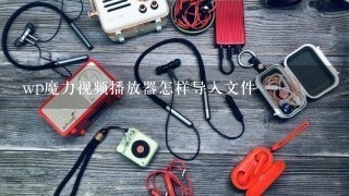 wp魔力视频播放器怎样导入文件