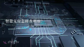 智慧支付怎样查明细？