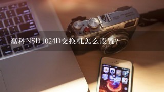 磊科NSD1024D交换机怎么设置？