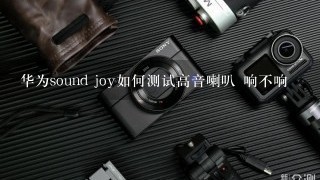 华为sound joy如何测试高音喇叭 响不响