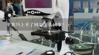 苹果5S上不了网是怎么回事？