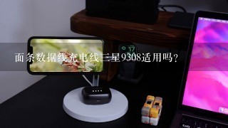 面条数据线充电线三星9308适用吗?