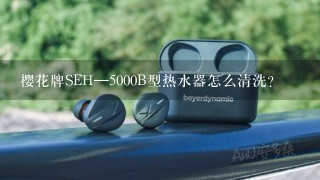 樱花牌SEH—5000B型热水器怎么清洗？