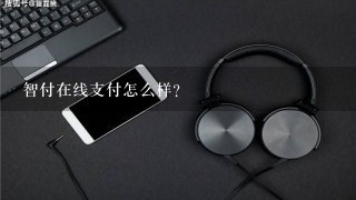 智付在线支付怎么样？