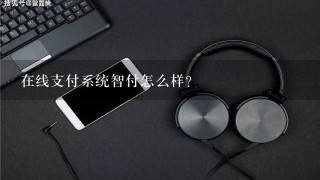 在线支付系统智付怎么样？