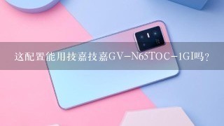 这配置能用技嘉技嘉GV-N65TOC-1GI吗？