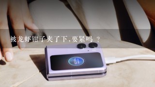 被龙虾钳子夹了下,要紧吗 ?