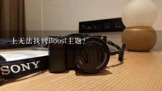 上无法找到Boost主题