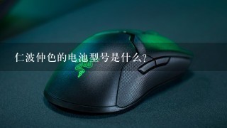 仁波仲色的电池型号是什么