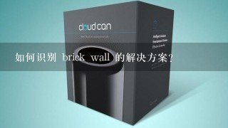 如何识别 brick wall 的解决方案?