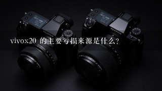 vivox20 的主要亏损来源是什么?